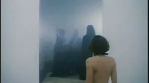 Live The Fan