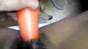 මැඩිසින් මගුල