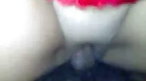 ද්වීලිංගික පරිණත බූරු මගුල