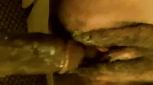 ආච්චි සහ සීයා කෙලෙසන යෞවනයන්