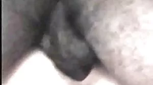 ලැටිනා පරිණත ටියුබ්
