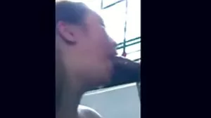 කළු සමලිංගික පෝර්න්