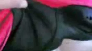 සියලුම නොමිලේ වැඩිහිටි කාමුක දර්ශන