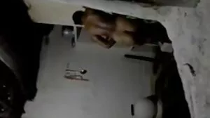 Asian Girls Fuck With White